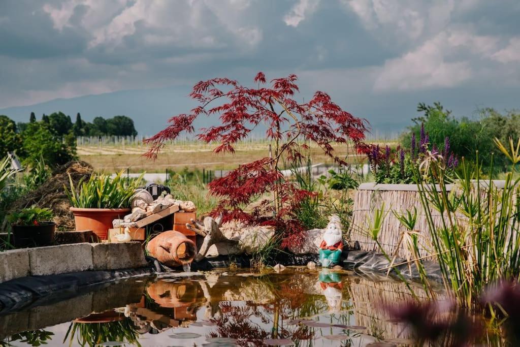 Appartamento Casa di Paglia, near Bardolino&Lazise Calmasino Esterno foto