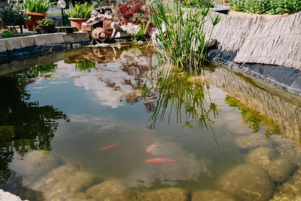 Appartamento Casa di Paglia, near Bardolino&Lazise Calmasino Esterno foto